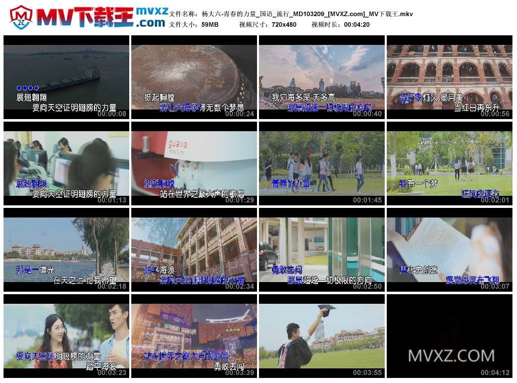 杨大六-青春的力量_国语_流行_MD103209